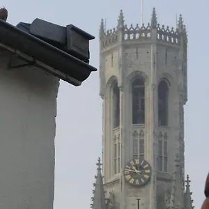 Zucchero Belgium